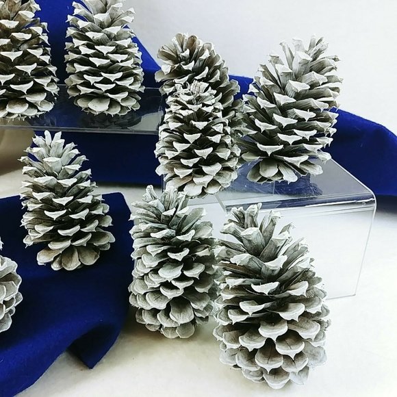 Pinecones Home Decor Crafting Pkg of 12 Handcrafted by Collins Creek Collections - Picture 3 of 8